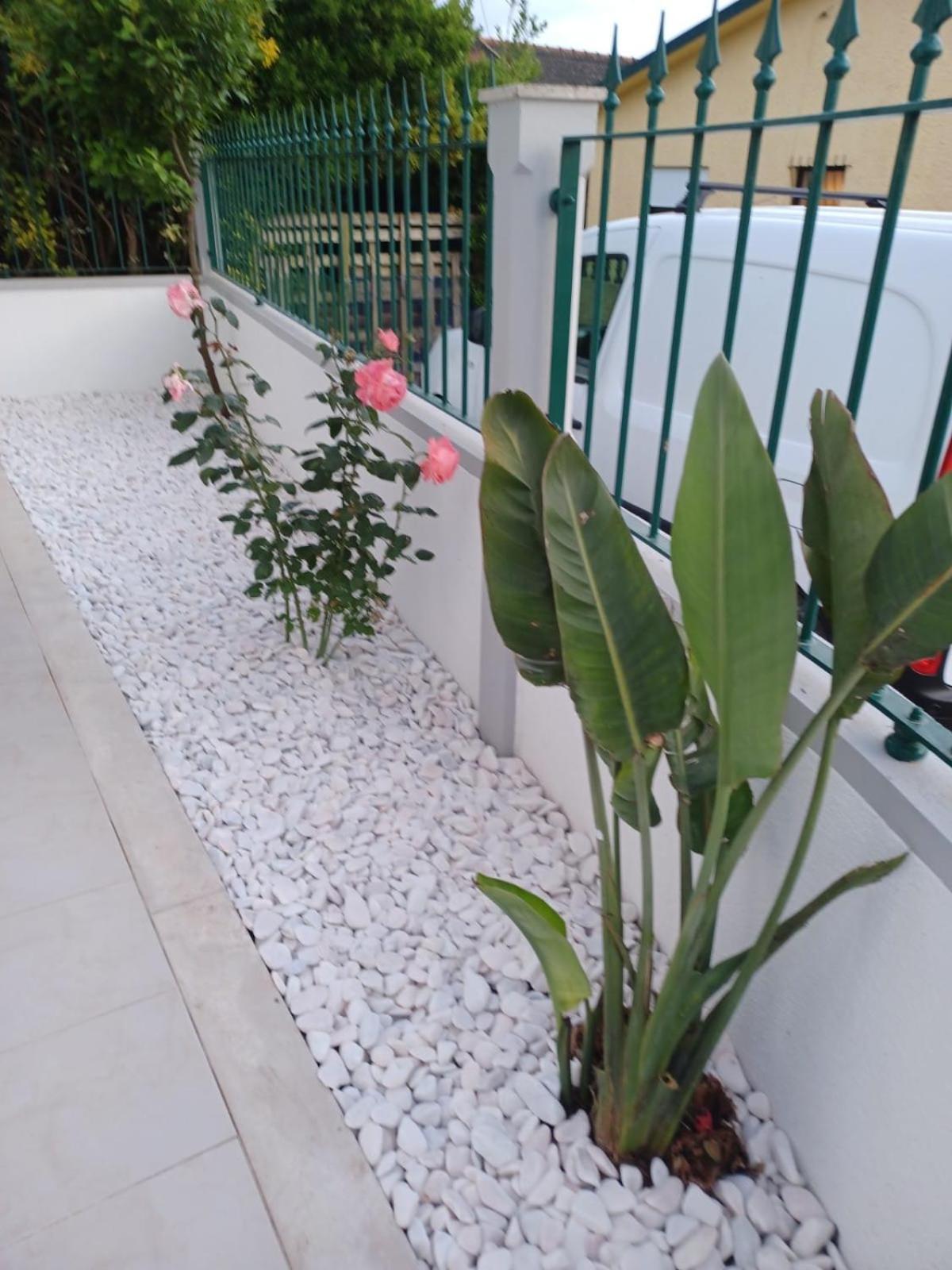 Lagoon & Country Side Home Ílhavo المظهر الخارجي الصورة