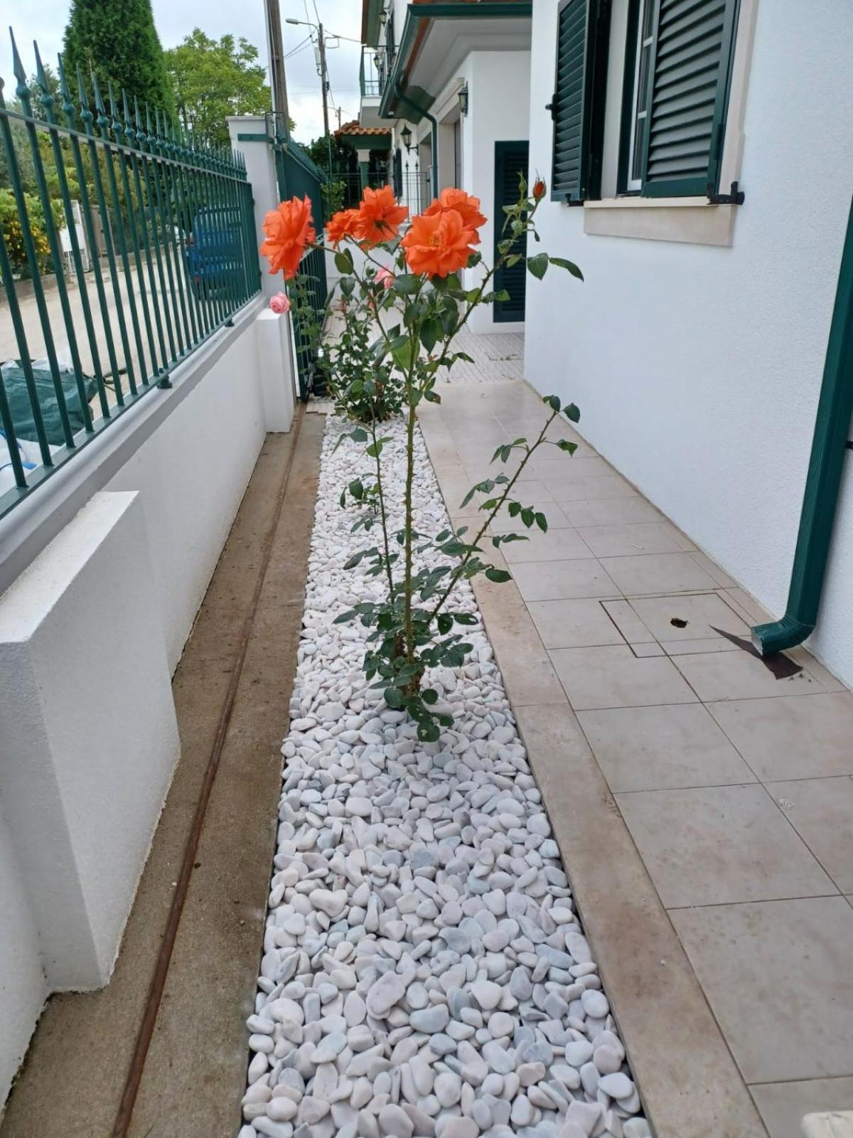 Lagoon & Country Side Home Ílhavo المظهر الخارجي الصورة
